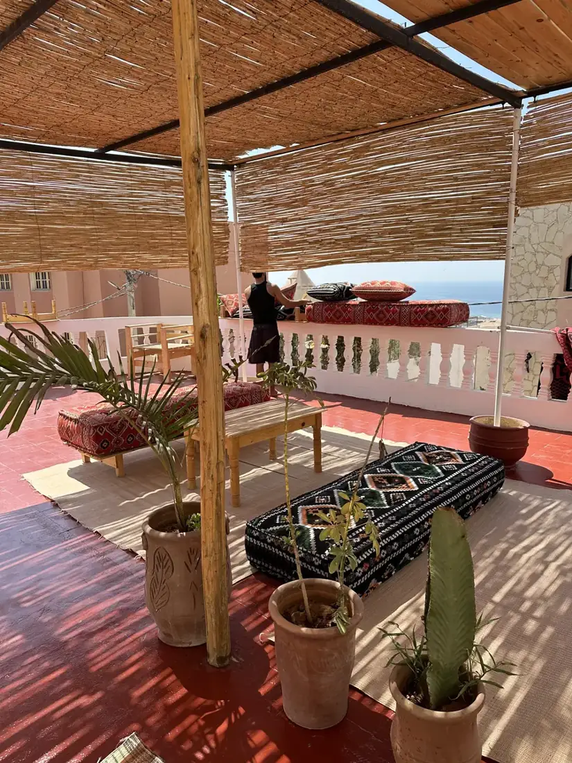 Rooftop lounge with cacti and sea view
