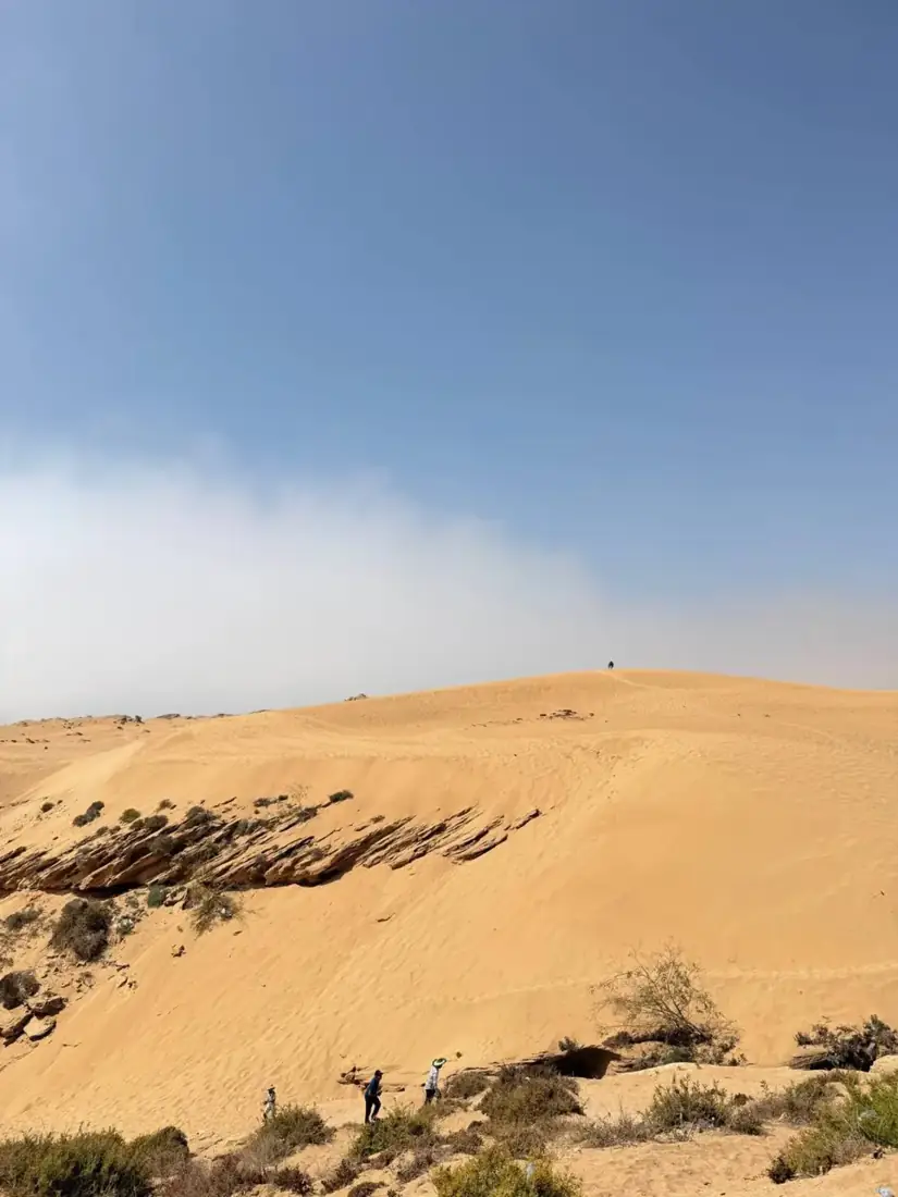 Golden dunes south of Agadir
