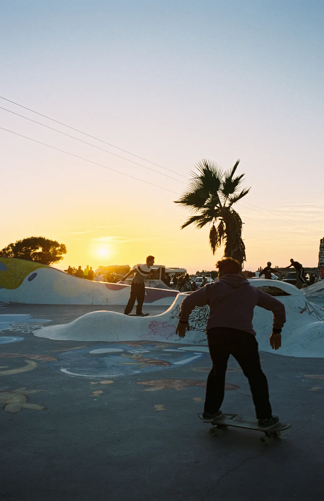 Skaters at the Taghazout skatepark at sunset