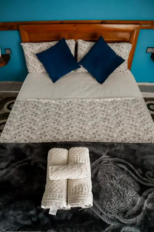 Navy cushions close-up