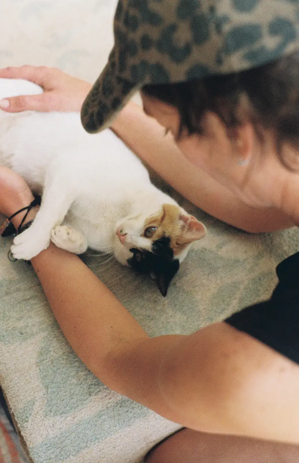 The house cat rolling over for a belly rub